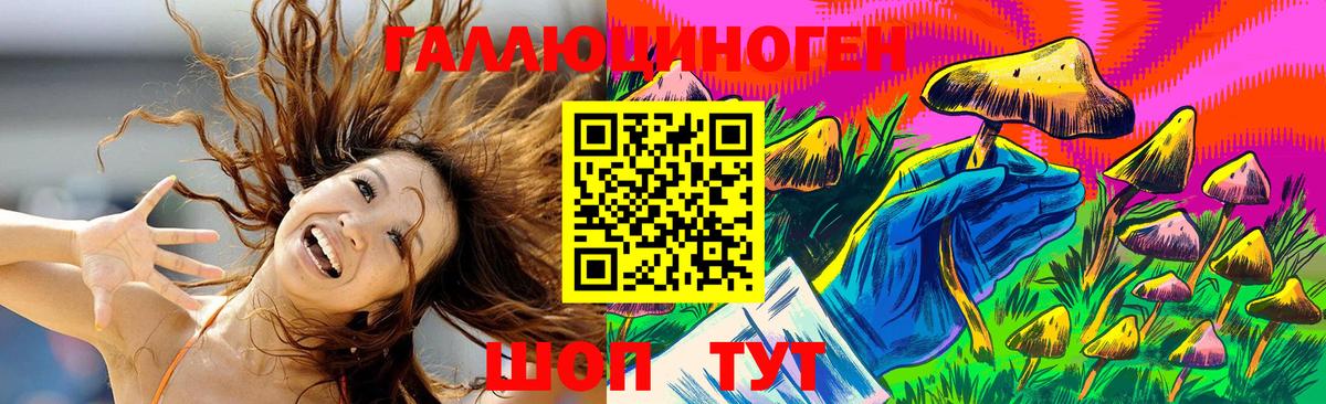Галлюциногенные грибы Cubensis  Вход с VPN  Гай 